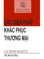 Bài giảng luật thương mại quốc tế bai 10 BPG các biện pháp khắc phục thương mại bán phá giá