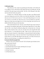 Tục lệ về hôn lễ của người việt