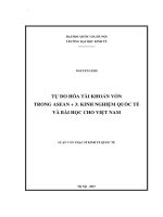Tự do hóa tài khoản vốn trong ASEAN+3 kinh nghiệm quốc tế và bài học cho việt nam 