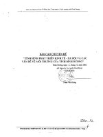 Tình hình phát triển kinh tế xã hội và các vấn đề về môi trường của tỉnh bình dương 