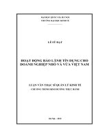Hoạt động bảo lãnh tín dụng cho doanh nghiệp nhỏ và vừa ở việt nam 