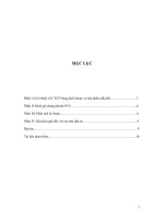 Tiểu luận phân tích đầu tư cổ phiếu công ty CP dung dịch khoan và hoá phẩm dầu khí 