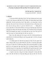 Dac diem cau tao ngu nghia cua CTCDM tieng Viet