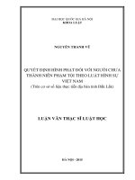 Quyết định hình phạt đối với người chưa thành niên phạm tội theo luật hình sự việt nam (trên cơ sở số liệu thực tiễn địa bàn tỉnh đắk lắk) 