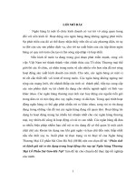 Luận văn phân tích và đánh giá rủi ro tín dụng trong hoạt động cho vay tại ngânhàng NHTMCP sài gòn hà nội (SHB) 