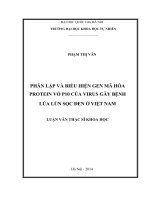 Phân lập và biểu hiện gen mã hóa protein vỏ p10 của virus gây bệnh lúa lùn sọc đen ở việt nam 