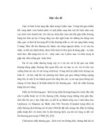 Luận văn Đánh giá kết quả điều trị phẫu thuật và không phẫu thuật trên bệnh nhi có tổn thương gan lách do chấn thương bụng kín tại bệnh viện nhi trung ương