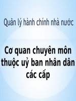 Quản lí Hành chính Nhà nước  Cơ quan chuyên môn thuộc uỷ ban nhân dân các cấp
