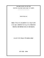 Hiệu ứng của radion và u hạt lên các quá trình tán xạ của photon trong mô hình chuẩn mở rộng 