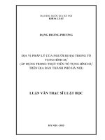Địa vị pháp lý của người bị hại trong tố tụng hình sự (áp dụng trong thực tiễn tố tụng hình sự trên địa bàn thành phố hà nội) 
