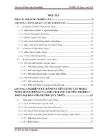 Chuyên đề  Nghiên cứu hành vi tiêu dùng sản phẩm nhãn hàng riêng của khách hàng tại siêu thị big c quy nhơn  tỉnh bình định