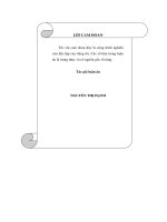 Quỹ đầu tư tín thác trong việc tạo vốn cho thị trường bất động sản  tại Việt Nam