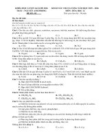 Bộ đề luyện thi Hóa Học Nguyễn Anh Phong Đề 1