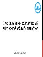 Bài giảng luật thương mại quốc tế  bài 7 dieu XX các quy định của WTO về sức khỏe và môi trường