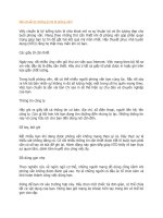 Nên chuẩn bị những gì khi đi phỏng vấn 