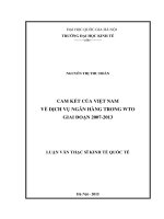Cam kết của việt nam về dịch vụ ngân hàng trong WTO giai đoạn 2007 2013 