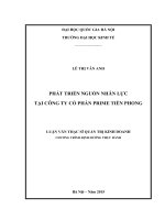 PHÁT TRIỂN NGUỒN NHÂN lực tại CÔNG TY cổ PHẦN PRIME TIỀN PHONG 