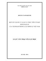 Một số vấn đề lý luận và thực tiễn về mặt khách quan của tội phạm trong luật hình sự việt nam (tom tat)