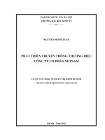 Phát triển truyền thông thương hiệu công ty cổ phần NETNAM 