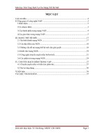 (nền tảng dịch vụ mạng thế hệ mới) ứng dụng các công nghệ mạng thế hệ mới dựa trên softswitch (chuyển mạch mềm) trong việc cung cấp dịch vụ VoIP tại việt nam