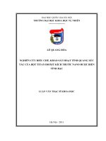 Nghiên cứu điều chế, khảo sát hoạt tính quang xúc tác của bột titan đioxit kích thước nano được biến tính bạc 