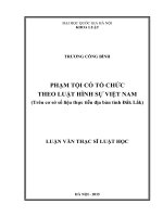 Phạm tội có tổ chức theo luật hình sự việt nam (trên cơ sở số liệu thực tiễn địa bàn tỉnh đắk lắk) 