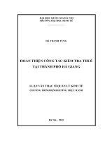 HOÀN THIỆN CÔNG tác KIỂM TRA THUẾ tại THÀNH PHỐ hà GIANG 