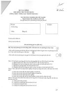 Bài thi trắc nghiệm chuyên ngành thuế ngạch chueyen viên và kiểm tra viên thuế 