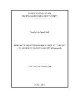 Nghiên cứu hoạt tính sinh học và một số tính chất của quercetin tách từ hành tây allium cepa l 