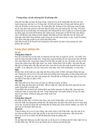 Trang phục và tác phong khi đi phỏng vấn 