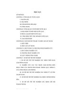 Luận văn nghiên cứu sản xuất đồ hộp nước giải khát từ quả dưa hấu