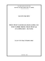 Phân tích và đánh giá hàm lượng các PCB và PBDE trong trầm tích tại của sông hàn   đà nẵng 