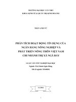 phân tích hoạt động tín dụng của ngân hàng nông nghiệp và phát triển nông thôn việt nam chi nhánh thị xã ngã bảy
