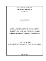 Chiến lược marketing cho sản phẩm bi thép   hạt mài tại công ty cổ phần cơ khí chính xác VINASHIN (VINASHINA) 