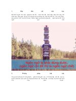 KHÔNG cần đi học THÊM mà bạn vẫn sẽ GIỎI TIẾNG ANH 