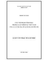 Các tội phạm tình dục trong luật hình sự việt nam (trên cơ sở số liệu thực tiễn tại địa bàn tỉnh đắk lắk) 
