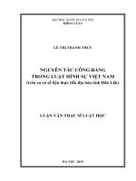 Nguyên tắc công bằng trong luật hình sự việt nam (trên cơ sở số liệu thực tiễn địa bàn tỉnh đắk lắk) 