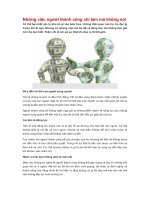 Những việc người thành công chỉ làm mà không nói 