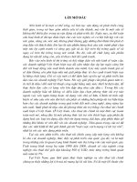 Luận văn phát triển hoạt động cho thuê tài chính tại công ty cho thuê tài chính ngân hàng NHTMCP công thương (vietinbank) VN 