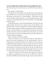 Tiểu luận cổ phần hoá doanh nghiệp nhà nước 