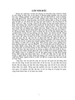 Tiểu luận cổ phần hoá doanh nghiệp nhà nước ở VN 