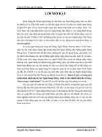 Luận văn quản lý rủi ro trong quá trình thẩm định dự án tại ngân hàng NHTMCP đông nam á (SeABank) chi nhánh hai bà trưng  thực trạng và giải pháp 