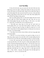 Tiểu luận cổ phần hoá ở VN hiện nay 