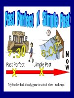PAST PERFECT AND SIMPLE PAST