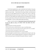 Luận văn hoạch định chương trình marketing năm 2011 cho một sản phẩm của công ty cổ phần nước giải khát tribeco 