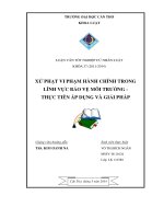 Xử phạt vi phạm hành chính trong lĩnh vực môi trường thực tiễn và áp dụng