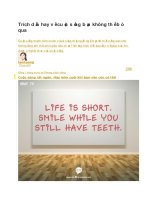 Trích dẫn hay về cuộc sống bạn không thể bỏ qua