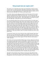 Thứ gì mạnh hơn sức mạnh ý chí 