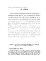 Tiểu luận cổ phần hoá doanh nghiệp nhà nước ở việt nam   