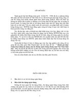 Tiểu luận đánh giá thực trạng hoạt động tín dụng của hệ thống ngân hàng thương mại VN hiện nay 